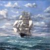 Filename : clippership Maitland.jpg
Filesize : 1565KB
Dimensions : 1280x1282
Date added : Dec 16, 2009 clippership Maitland.jpg