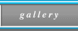 Have a look at the online gallery